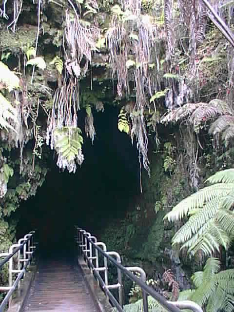 entrance to Thurston lava tube